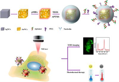 Functionalization of Nanomaterials for Skin Cancer Theranostics